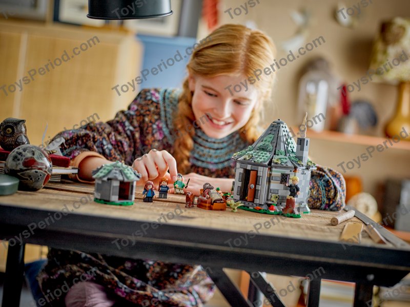 れーん出品 LEGO 76428 Hagrid's Hut: An Unexpected Visit Set Parts List