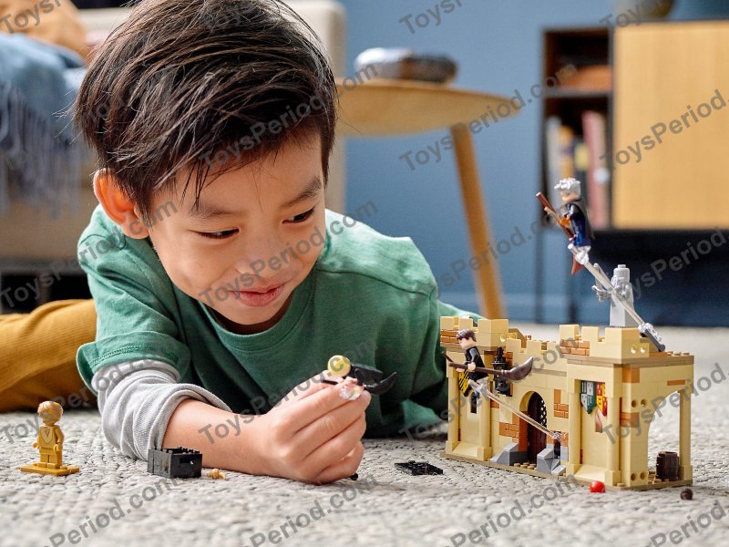 LEGO 76395 Hogwarts First Flying Lesson Set Parts List