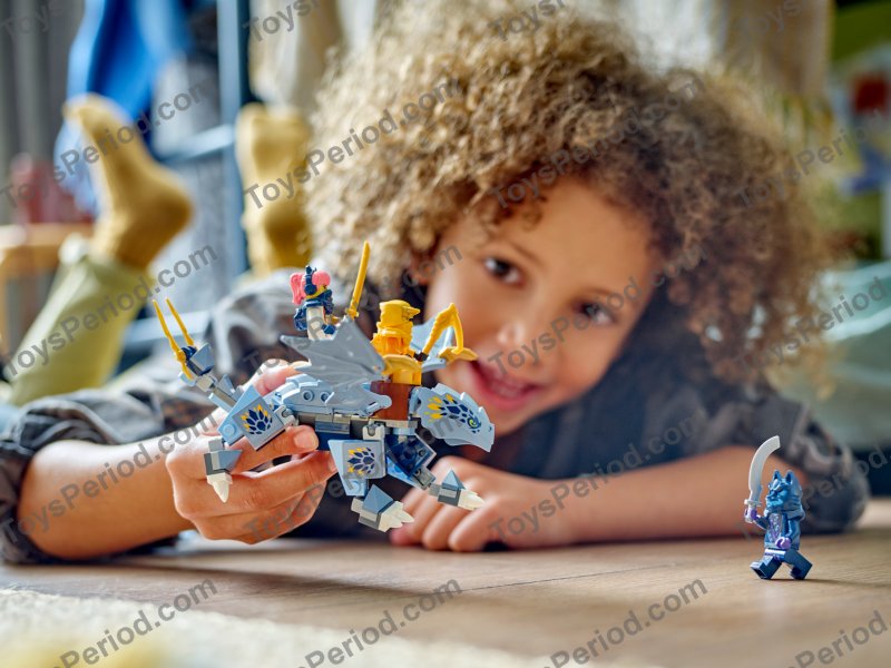 LEGO 71810 Young Dragon Riyu Set Parts List